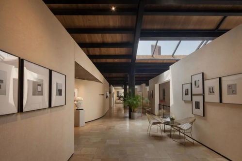 龍湖精品 車橋廠全新改造設(shè)計(jì),街區(qū)花園的模式,使得建筑更具有活力 騰訊新聞