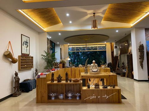 實拍西雙版納300元一晚的精品客棧,游客 這在江浙滬至少1000元